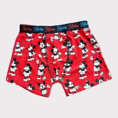 Berniukiški bokseriukai Mickey