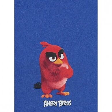 Berniukiška pižama "Angry Birds" 1
