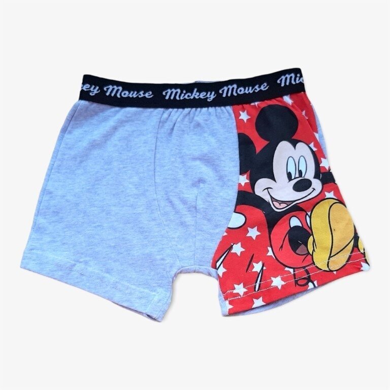 Berniukiški bokseriukai Mickey Berniukiški bokseriukai Mickey