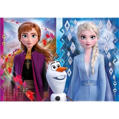 Clementoni Dėlionė „Frozen“ 30 det. 1
