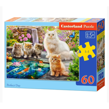 Dėlionė Castorland Perfect Day, 60 detalių