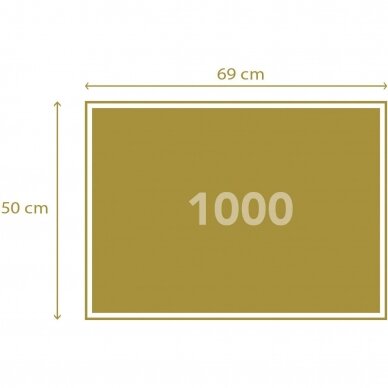 Dėlionė,1000 detalių 1