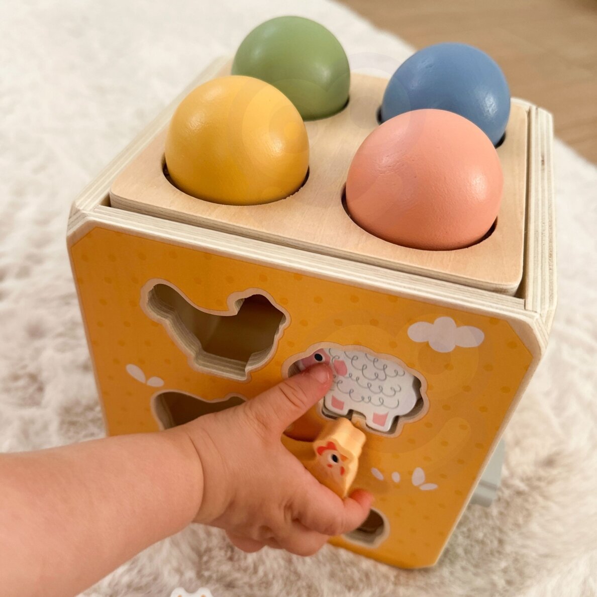 TOOKY TOY medinė edukacinė kubo formos dėlionė su spyruokle 5-in-1 4