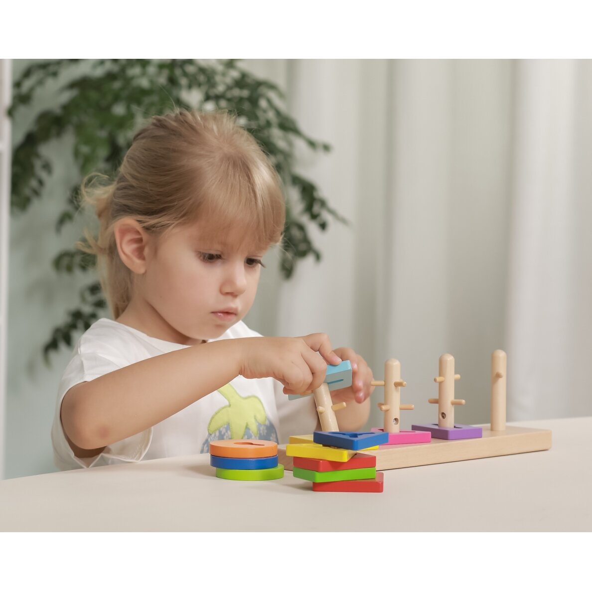 VIGA medinis Montessori formų rūšiavimo blokų rinkinys 2