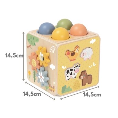 TOOKY TOY medinė edukacinė kubo formos dėlionė su spyruokle 5-in-1 11 TOOKY TOY medinė edukacinė kubo formos dėlionė su spyruokle 5-in-1 11