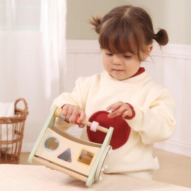 VIGA medinė dėlionė Montessori formų rūšiavimo kaladėlės su abakumi PolarB 2 VIGA medinė dėlionė Montessori formų rūšiavimo kaladėlės su abakumi PolarB 2