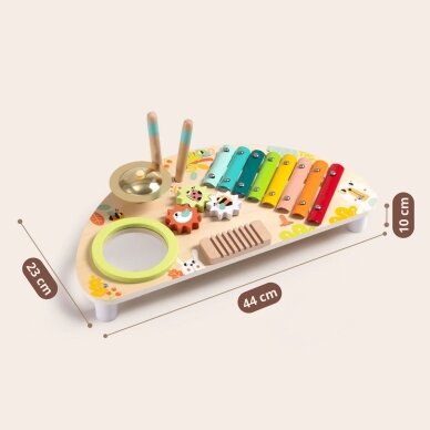 TOOKY TOY Daugiafunkcis muzikos instrumentų centras 12 TOOKY TOY Daugiafunkcis muzikos instrumentų centras 12