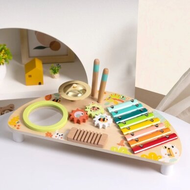 TOOKY TOY Daugiafunkcis muzikos instrumentų centras 9 TOOKY TOY Daugiafunkcis muzikos instrumentų centras 9