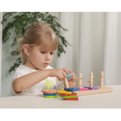 VIGA medinis Montessori formų rūšiavimo blokų rinkinys 2