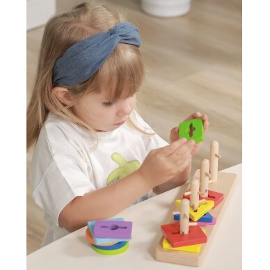 VIGA medinis Montessori formų rūšiavimo blokų rinkinys 4