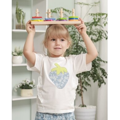 VIGA medinis Montessori formų rūšiavimo blokų rinkinys 5