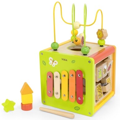 VIGA medinis edukacinis kubas 5-in-1 5