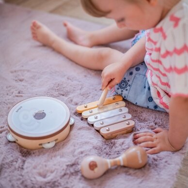 VIGA PolarB muzikos instrumentų rinkinys su ežiuku 1 VIGA PolarB muzikos instrumentų rinkinys su ežiuku 1