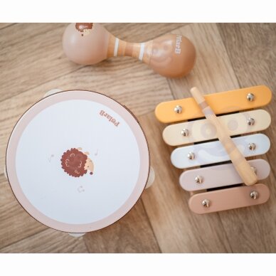 VIGA PolarB muzikos instrumentų rinkinys su ežiuku 3 VIGA PolarB muzikos instrumentų rinkinys su ežiuku 3