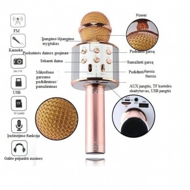 Karaoke mikrofonas su efektais WS-858 3