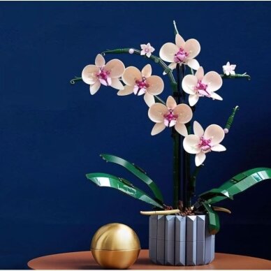 Konstruktorius „Orchidėjos”, 608 det. 1