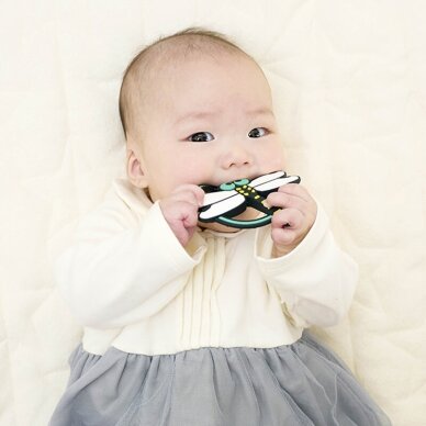 Kramtukas kūdikiams EDISONmama „Kamikami Baby Dragonfly“, nuo 3 mėn., KJ420377 1