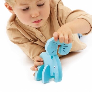 LUDI 3D dėlionė, Safari 3 LUDI 3D dėlionė, Safari 3