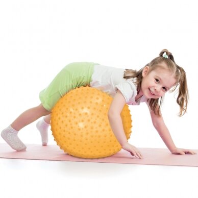 LUDI mankštos kamuolys, 45 cm 2 LUDI mankštos kamuolys, 45 cm 2