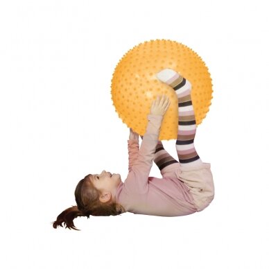 LUDI mankštos kamuolys, 45 cm 4 LUDI mankštos kamuolys, 45 cm 4