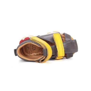 Pilkos basutės 20-25 d. G064-61909 3