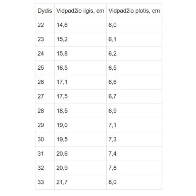 Sniego batai su vilna 28-33 d. P081-62248AL 7