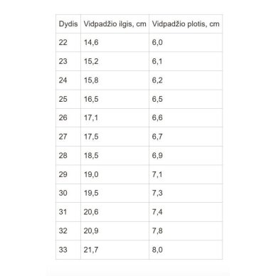 Sniego batai su vilna 28-33 d. P081-62405AL 7