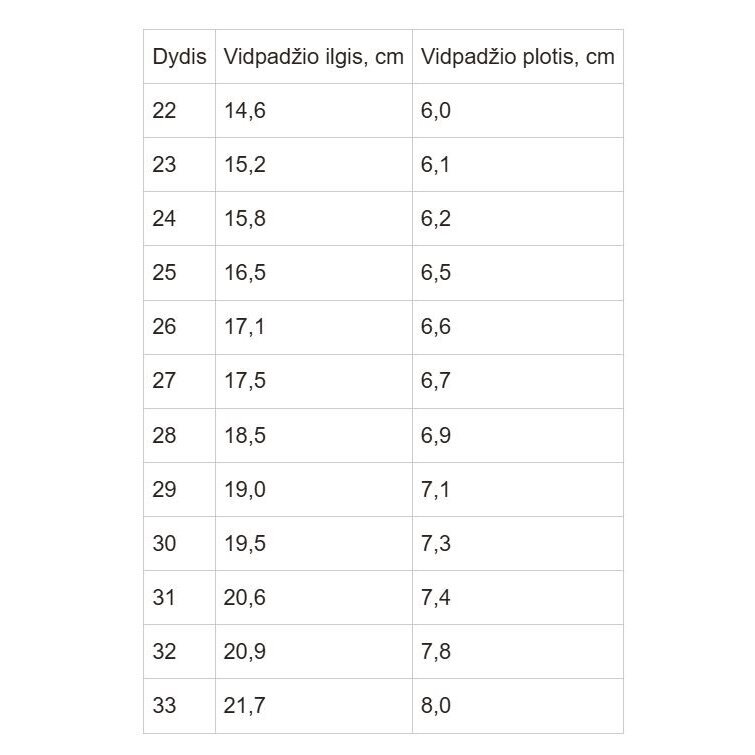Sniego batai su vilna 22-27 d. P081-62248 7