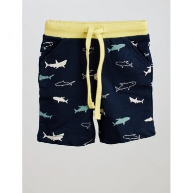 Šortai Shark Šortai Shark
