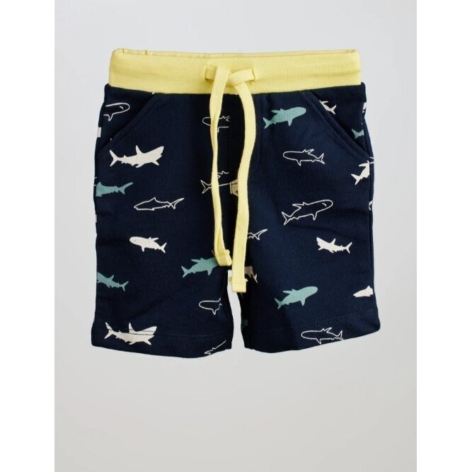 Šortai Shark Šortai Shark