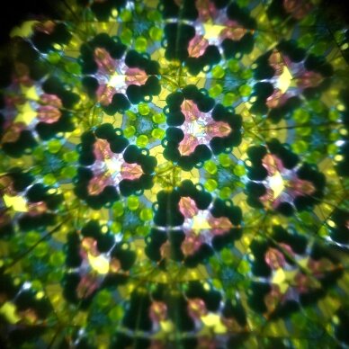 Svoora kaleidoskopas, Miškas, 19 cm 2 Svoora kaleidoskopas, Miškas, 19 cm 2